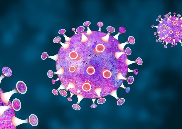 Rappresentazione artistica di coronavirus (fonte: chiplanay(Pixabay) © Ansa