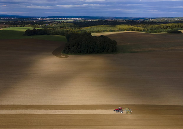 Agricoltura, dal Parlamento europeo fondi freschi per le aree rurali © EPA