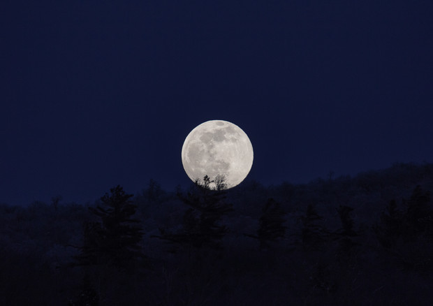 E' dedicata alla Luna la notte del 16 ottobre (fonte: Free Nature Stock on StockSnap) © Ansa