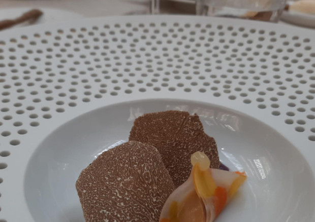 Un piatto vegano dello chef Emanuele Scarello, due stelle Michelin col ristorante Agli Amici a Udine © ANSA