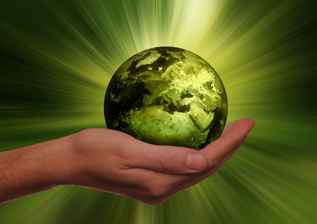 Consegnati Premi Balzan 2020, attenzione a diritti e ambiente (Fonte: Geralt, Pixabay) © Ansa