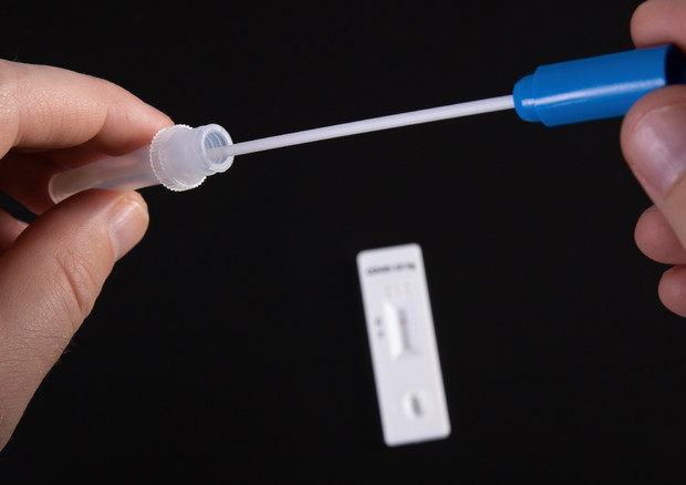 Un kit per il test antigenico rapido (fonte: Jernej Furman/ Flickr) © Ansa