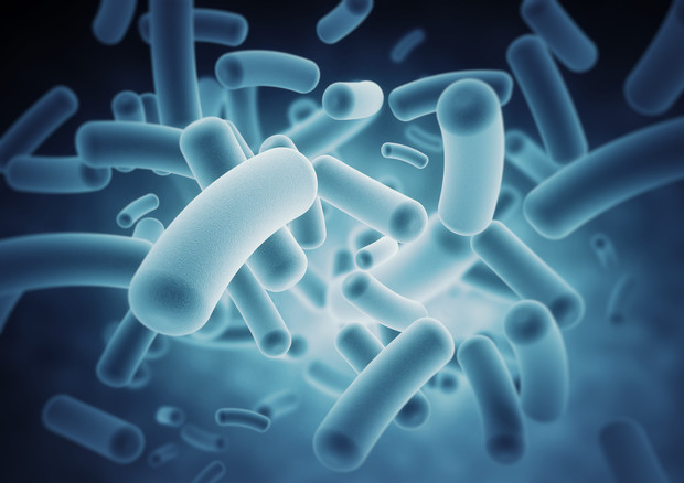 Rappresentazione artistica di batteri che costituiscono il microbioma umano (fonte: IBM) © Ansa