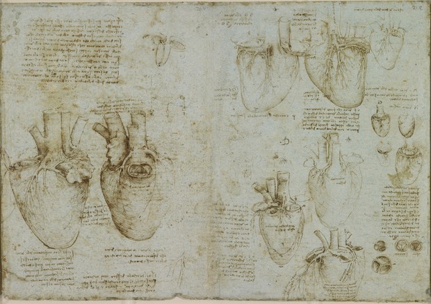 Disegni in cui Leonardo da Vinci rappresenta l'anatomia del cuore © Ansa