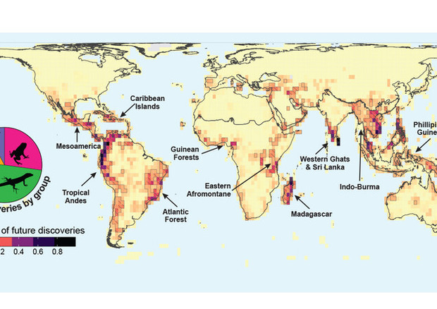 La mappa dei luoghi in cui più prbabilmente vivono specie non ancora scoperte (fonte: Yale) © Ansa