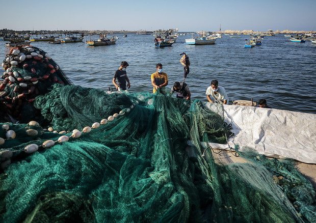 Lockdown premia i consumi di pesce allevato in Italia © ANSA