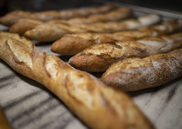 Francia candida la baguette a patrimonio immateriale Unesco © ANSA
