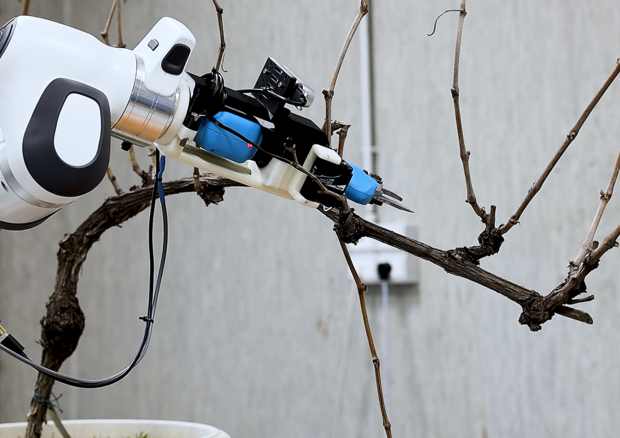 Un esempio di robot per l'agricoltura (fonte: Università Cattolica) © Ansa