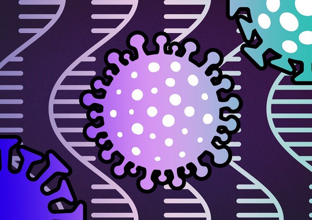 Pronta la mappa più completa e precisa del genoma del virus SarsCov2 (fonte: MIT News) © Ansa