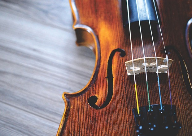 L’intelligenza artificiale aiuta a progettare i violini del futuro (fonte: Pixabay) © Ansa