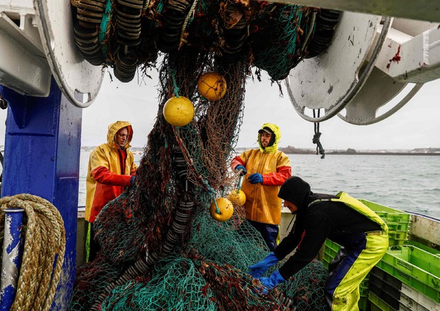 Ue, trovare soluzione con Gb su licenze della pesca francesi © AFP