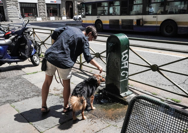 Una ragazza cerca di dare refrigerio al suo cane sotto una fontanella in centro, Torino, 18 giugno  2021. ANSA/TINO ROMANO © ANSA