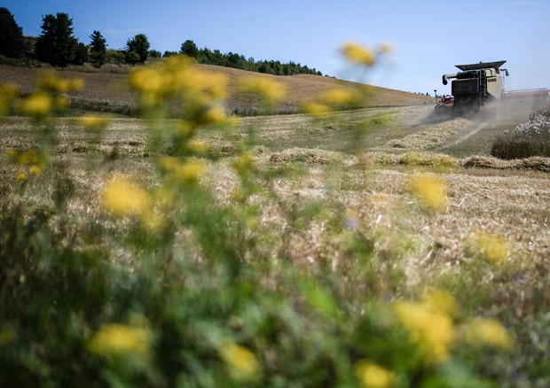 Pacchetto clima Ue, target più ambiziosi anche per l'agricoltura © EPA