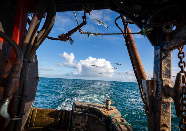 Mare Aperto conferma il suo impegno per la pesca sostenibile © ANSA