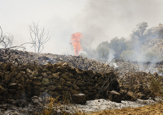 Incendi boschivi, interventi vigili fuoco aumentati del 75% © ANSA