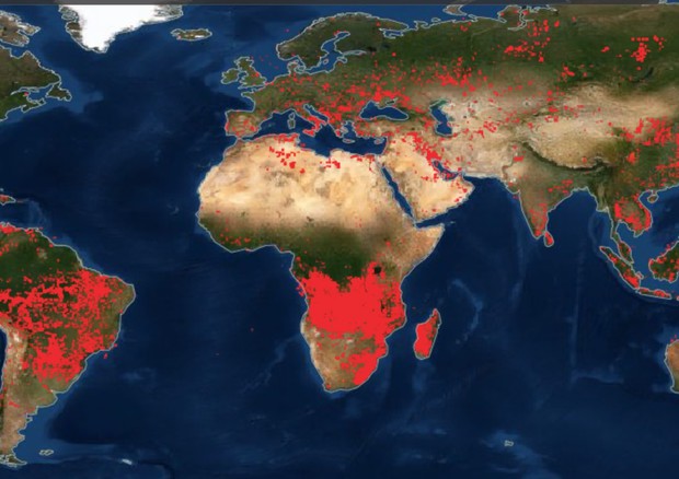 Nella mappa le aree in rosso corrispondono a quelle colpite dagli incendi (fonte: NASA/Fire Information for Resource Management System) © ANSA