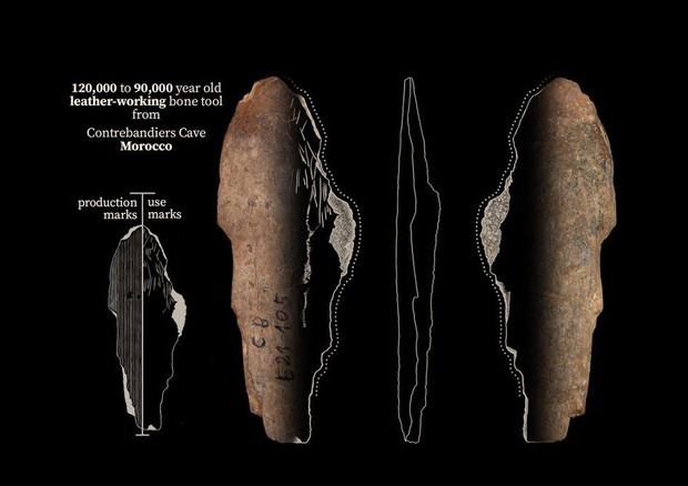 Alcuni strumenti  per lavorare le pelli trovati nella grotta di Contrebandiers (fonte: Jacopo Niccolò Cerasoni,) © Ansa