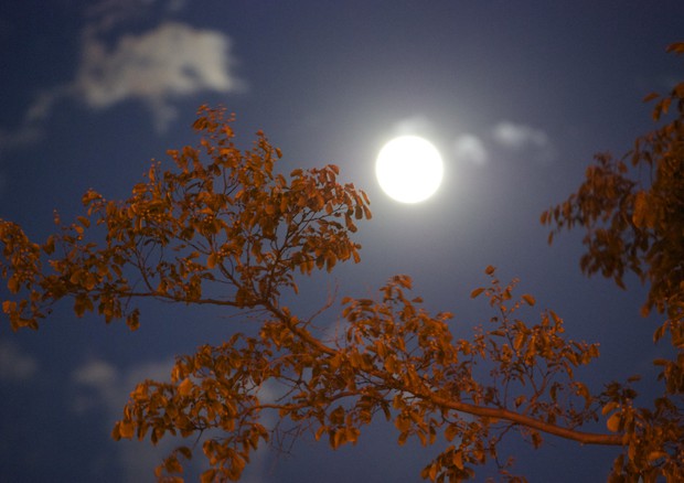 L'ultima luna piena dell'estate 2021 dà il benvenuto all'autunno (fonte: Bill Abbott da Flickr) © Ansa