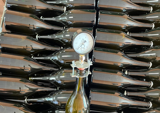 Vino: Frascati debutta tra i crypto wine con Nft su spumante © ANSA