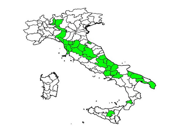 In verde le 33 province nelle quali la variante Omicron si è diffusa di più nelle ultime settimane del 2021 (fonte: Giovanni Sebastiani) © Ansa