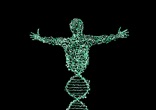 L'evoluzione umana continua la sua corsa, spuntati 155 nuovi geni (fonte: Pixabay) © Ansa