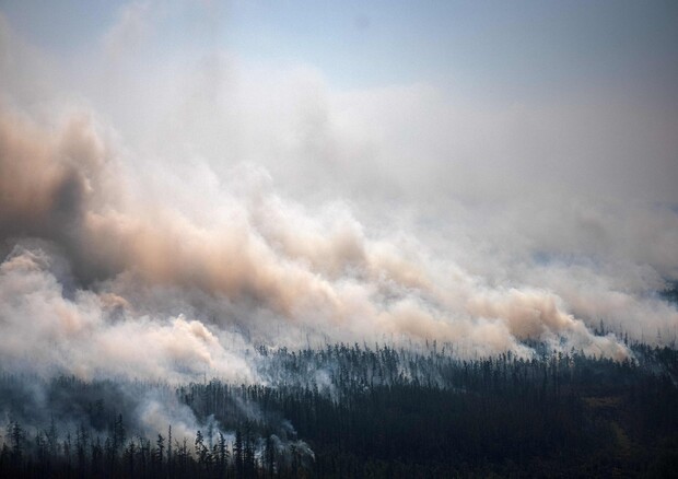 Onu, +50% incendi estremi al 2100 ma governi impreparati © AFP