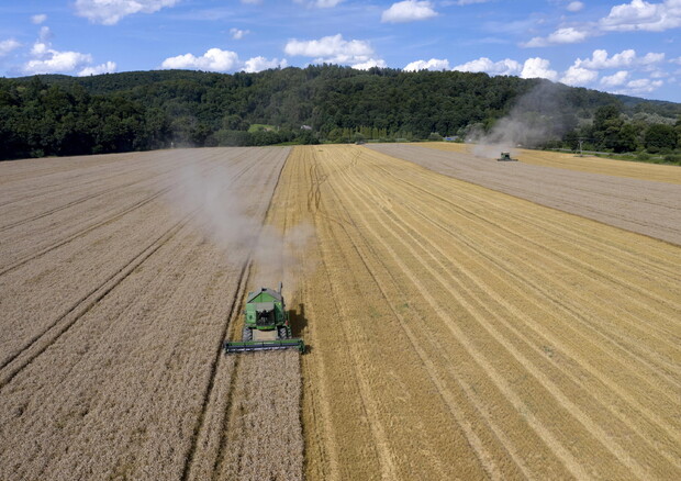 G7 Agricoltura: Fao, piano rapido contro crisi in Ucraina © EPA