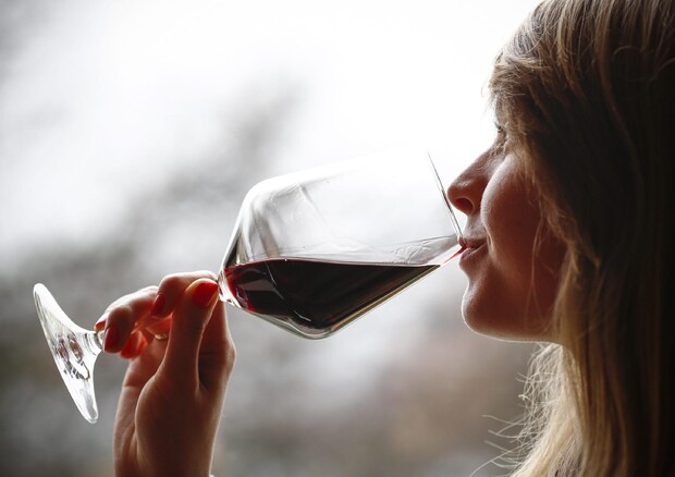 In Sicilia, crescono consumatori vino ma attenti e sostenibili © ANSA