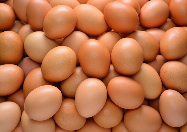 Pasqua: Unaitalia, 350mln uova consumate nella settimana santa © ANSA