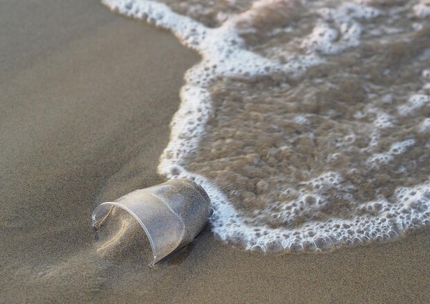 Le bioplastiche si degradano lentamente in mare e sulla sabbia (fonte: Pixabay) © Ansa