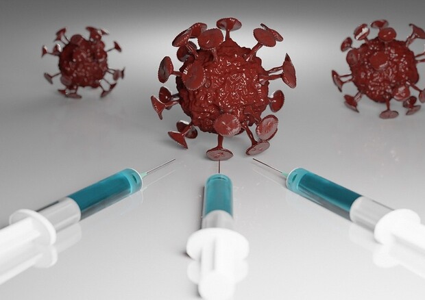 Alcuni vaccinati sviluppano forme gravi di Covid per colpa di un difetto immunitario (fonte: Pixabay) © Ansa
