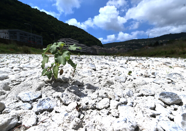 Siccità: Coldiretti, ogni anno perso 89% acqua piovana © ANSA