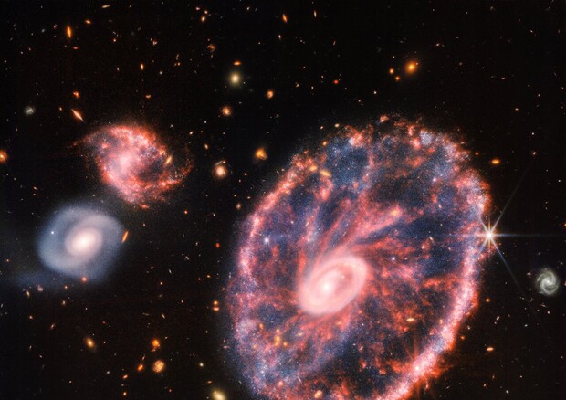 La galassia Ruota di carro svelata dal telescopio spaziale James Webb (fonte: NASA, ESA, CSA, STScI) © Ansa