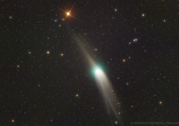 La cometa e la stella Iota Draconis, fotogrfatata il 24 gennaio 2023 (fonte: Umberto Zecchini, Paolo Diamanti e Giuseppe Conzo del Gruppo Astrofili Palidoro) © Ansa