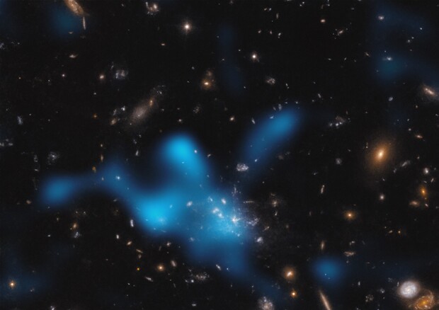 In azzurro la ricostruzione del gas che avvolge l'ammasso di galassie in formazione intorno alla galassia Spiderweb (fonte: ESO/Di Mascolo et al.; HST: H. Ford) © Ansa