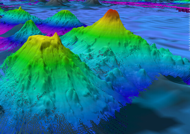La montagna sottomarina Pao Pao alta quasi 5.000 metri (fonte: Noaa Oer) © Ansa