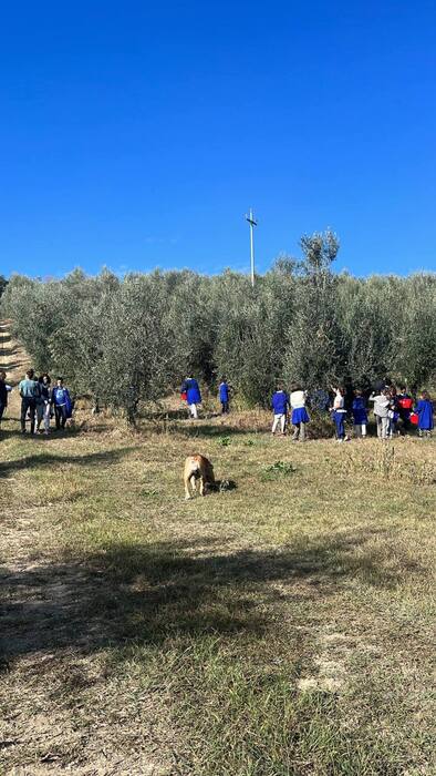 Petróleo: ‘Bruschetta x Merendina’ começa nas escolas de Abruzzo – Alimentação e saúde