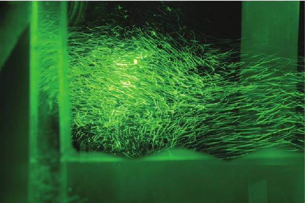Traiettorie di nanoparticelle illuminate dal laser (fonte: F. Toschi,  E. Bodenschatz)