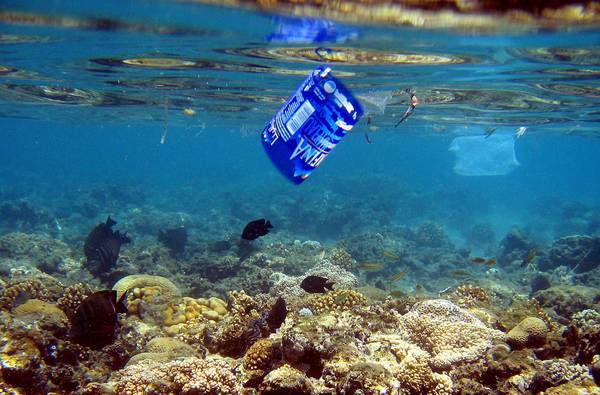 Un pesce nuota vicino una busta di plastica lungo una barriera corallina