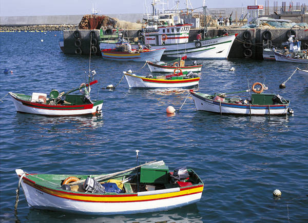 Pesca: Wwf, in Ue storico successo per sostenibilita' mari (Foto: Regiao de Turismo do Algarve)