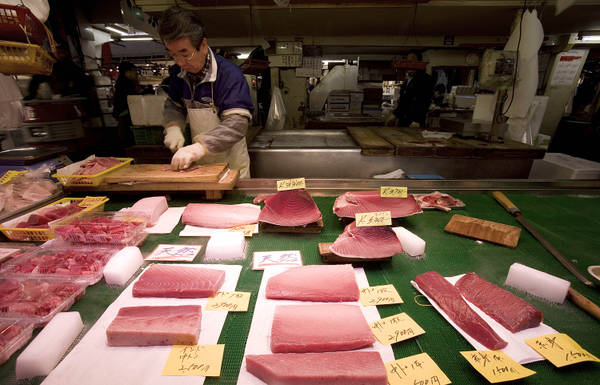 Pesca: Ue, cresce quota tonno rosso anche per Italia