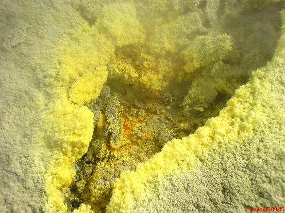 Una solfatara nell'isola di Vulcano: è l'ambiente nel quale è stato scoperto il batterio estremofilo Pyrococcus furiosus (fonte: Yure 13)