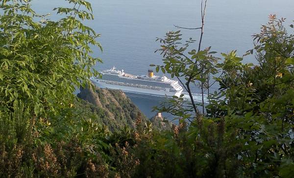 Una nave da crociera davanti a Portofino