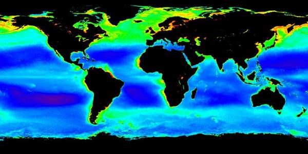 Molte delle forme più antiche dei batteri degli oceani vivono nel plancton (in verde) (fonte: NASA)