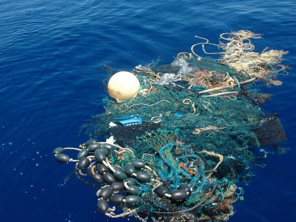La plastica minaccia gli oceani e finisce nel nostro cibo