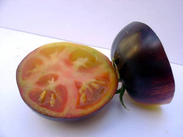 Il pomodoro nero (fonte: Scuola Superiore Sant'Anna)
