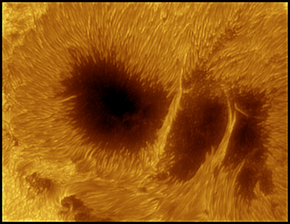 La macchia solare AR2192 (fonte: Alessandro Bianconi, Dolianova, CA)
