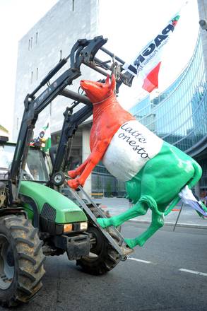 una ''mucca tricolore'' durante una manifestazione di allevatori, in un'immagine d'archivio