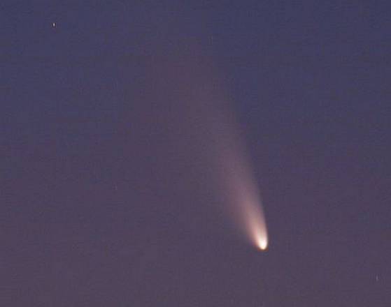 La cometa Panstarrs fotografata nel 2013 dall'isservatorio Gingin (fonte: NASA)
