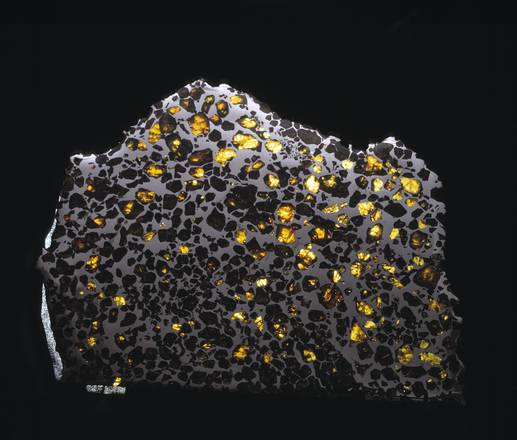 Il meteorite Esquel (fonte: Natural History Museum, London)